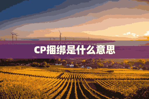 CP捆绑是什么意思